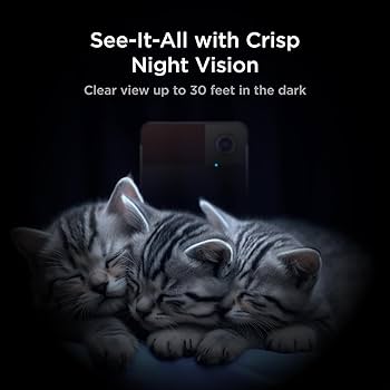 Amazon.com: Petcube Play 2 Wi-Fi Pet Camera with Laser Toy